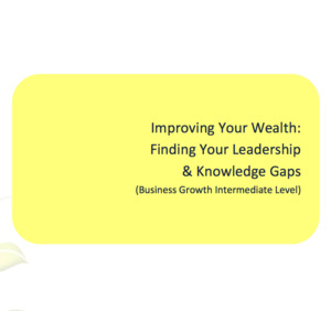 Business Growth: Improving Your Wealth - Finding Your Leadership & Knowledge Gaps Workbook