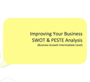 Improving Your Business - SWOT & PESTE Analysis Workbook