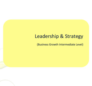 Leadership & Strategy Workbook