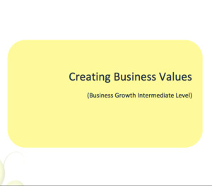 Business Growth: Creating Business Values Workbook