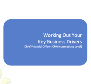 Products: Working Out Your Key Business Drivers Workbook