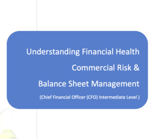 Understanding Financial Health - Commercial Risk & Balance Sheet Management Workbook