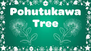Christmas Video Songs: Pohutukawa Tree Instrumental Video Song Download