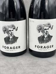North Canterbury: Forager Pinot Noir 2017 & 2019ãã´ã£ã³ãã¼ã¸éãã®ãããã¯ã¼ã«é£²ã¿æ¯ã¹6æ¬ã»ããâª
