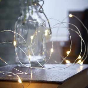 Seed Fairy Lights: Silver 5m Fairy Lights | Warm White | AA Battery | Decorative Indoor