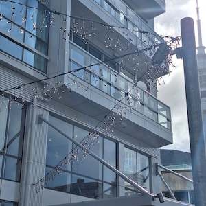 Outdoor Fringe Fairy Lights | 3m Black Rubber Cable Connectable | 30cm Drops | Pro Series