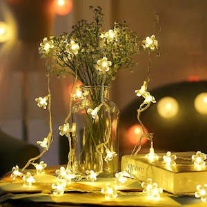 Indoor Fairy Lights: Flower Fairy Lights | 10m Clear PVC Cable | Core Series