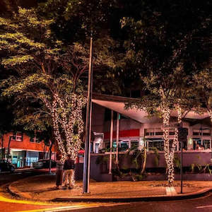 Outdoor Lights: Medium Outdoor Low Voltage Fairy Lights Tree Kit | Black Cable | 80m