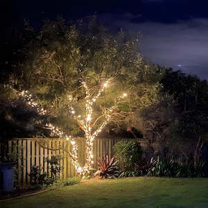 Outdoor Lights: Small Outdoor Standard 230v Fairy Lights Tree Kit | Black Cable | 40m