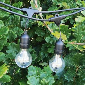 Deck Lights 1: A60 Clear Bulb | 15m 15 Bulbs | Drop Hang Dimmable Festoon Lights