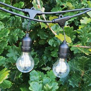 Outdoor Lights: A60 Clear Bulb | 15m 15 Bulbs | Drop Hang Dimmable Festoon Lights