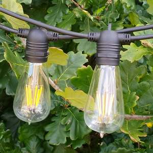 ST58 Clear Bulb | 5m 10 Bulbs | Flush Mount Dimmable Festoon Lights