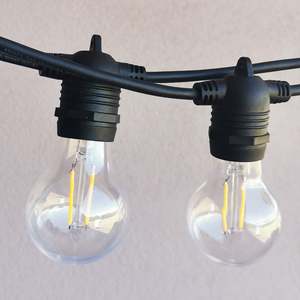 A60 Clear Bulb | 5m 10 Bulbs | Flush Mount Dimmable Festoon Lights