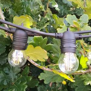 Festoon Light Led Bulbs 10 Packs: G45 Clear Glass Bulbs | 10 Pack