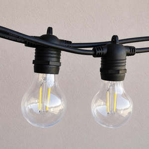 Festoon Lights A60 Bulb: Festoon Lights | A60 Clear Bulb | 10m 10 Bulbs | Flush Mount