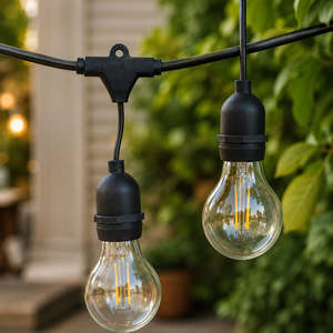 Festoon Lights A60 Bulb: Festoon Lights | A60 Clear Bulb | 5m 10 Bulbs | Drop Hang