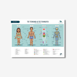 Te Reo Māori Human Body A2 Poster