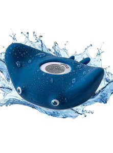 Bathing: Bath Thermometer - Ray