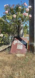 Springvale Hill Peppers & Spice Mix