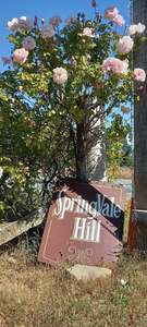 Frontpage: Springvale Hill Peppers & Spices Mix Whole Spices Use In A Grinder