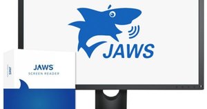 Products: JAWS for Windows Screen Reader for the Blind