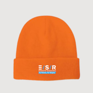 Esr: Gauge Beanie -ESR
