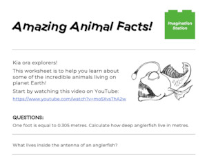 Amazing Animal Facts!