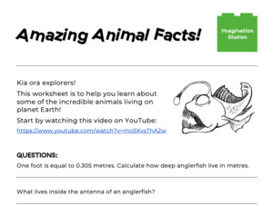 Amazing Animal Facts!