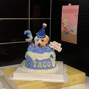 Basic Pet Cake Lummy Pet Bakery