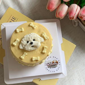 Lummy Signature Bone Portrait Cake Lummy Pet Bakery