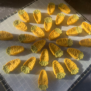 Carrot Biscuits Lummy Pet Bakery