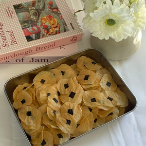 Chicken Yolk Seaweed Pet Chips Lummy Pet Bakery
