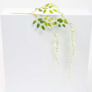 Medium Premium Wisteria Stems - Ivory / Green (1.2m)