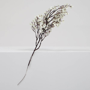 Small Cherry Blossom Branches - White (50cm)