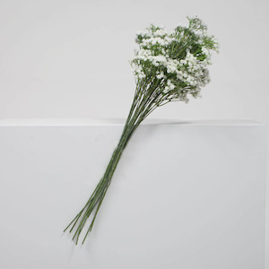Baby's Breath Bouquet Premium Stems - White (60cm)