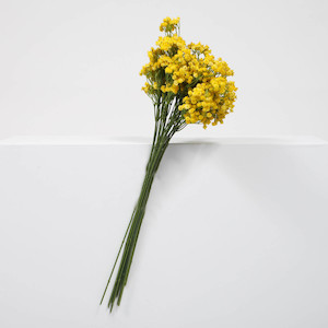 Baby Breath Flowers: CLEARANCE Baby's Breath Bouquet Premium Stems - Yellow (60cm)