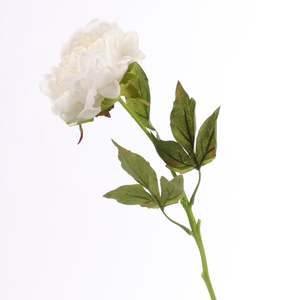 Artificial Real Touch Peony Rose - Large Stem - White