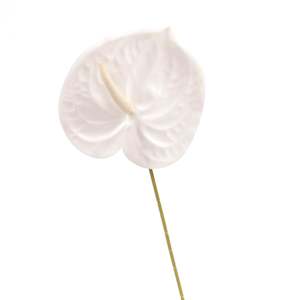 Artificial Anthurium Stem - White