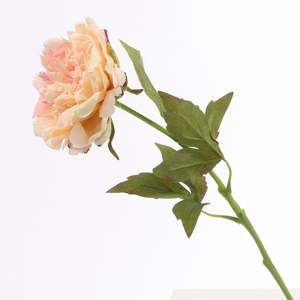 Outdoor Events: Artificial Real Touch Peony Rose - Large Stem - Peach