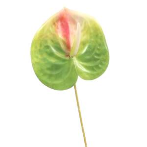 Outdoor Events: Artificial Anthurium Stem - Green