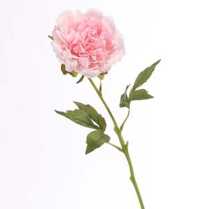 Artificial Real Touch Peony Rose - Large Stem - Light Pink