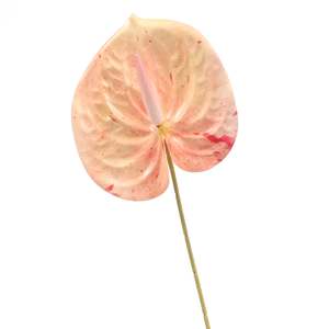 Artificial Anthurium Stem - Peach