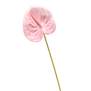 Outdoor Events: Artificial Anthurium Stem - Pink