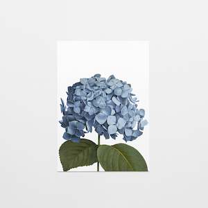 Gift Cards: Gift Card | Blue Hydrangea