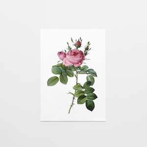 Gift Cards: Gift Card | Vintage Rose