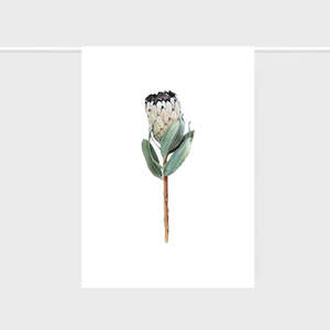 Extra Gifts: Teatowel Protea