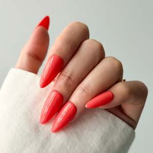 Solid Colour Press On Nails: Coraline