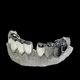 Grillz Masterclass