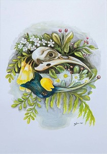 A Collection Of Prints And Reproductions: Huia Reflection