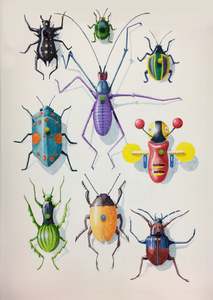 Insects of a New Zealand Imagination - Poster Print